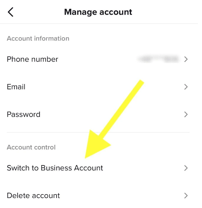 Cara Menggunakan TikTok untuk Business