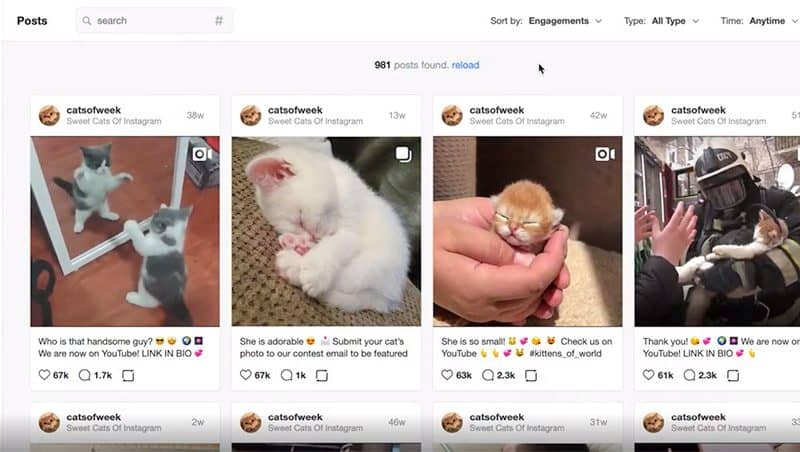 Virol-Instagram Tools Marketing