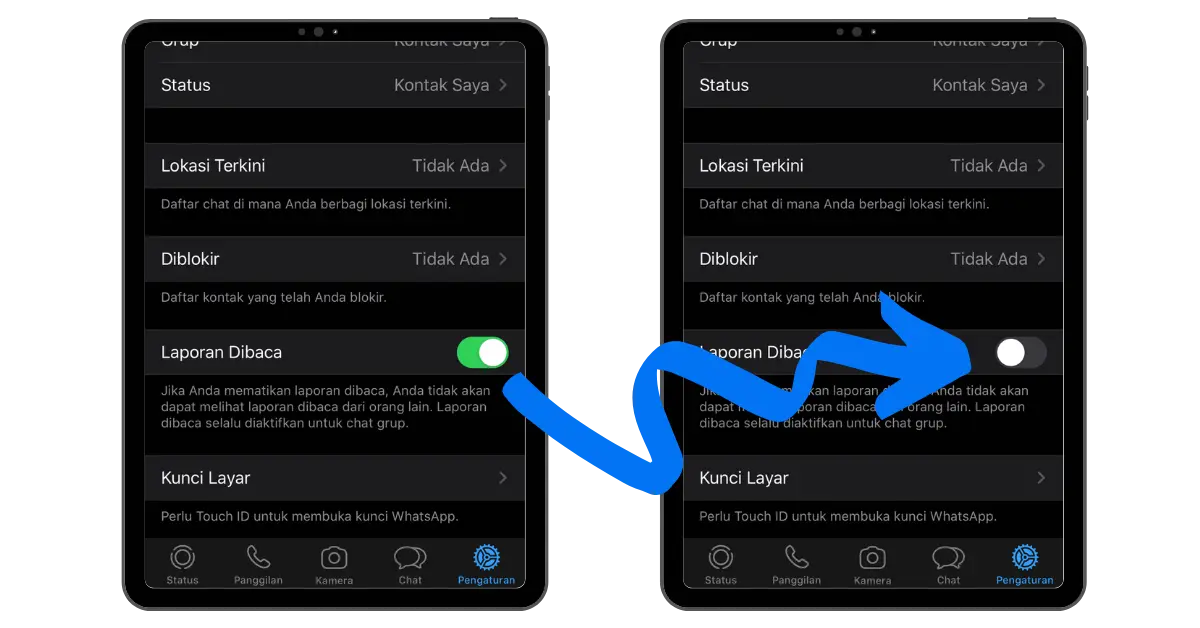 Tampilan Cara Mematikan Centang Biru di WhatsApp Cara Mematikan Centang Biru di WhatsApp