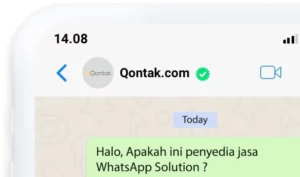 Cara Menggunakan Bulk WhatsApp Sender - siap digunakan