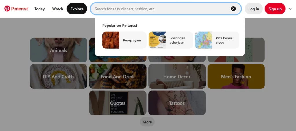 Alternatif Search Engine Terbaik Selain Google_Pinterest