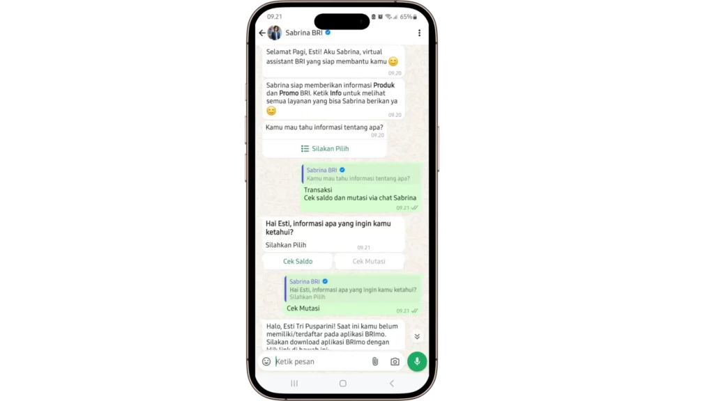 Contoh Bank Indonesia yang Menggunakan Chatbot_ BRI