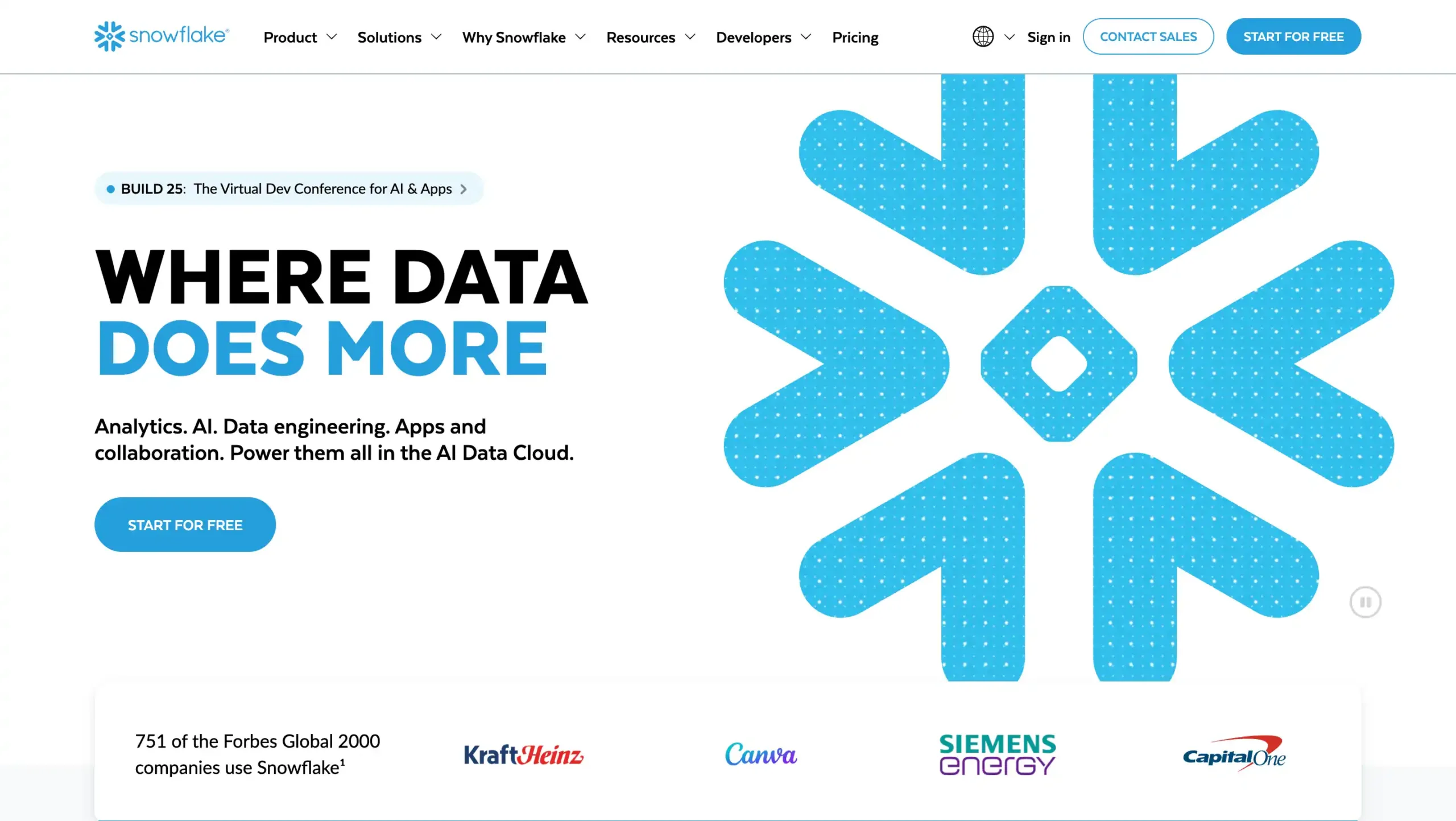 Landing Pag Snowflake Data Management Platform-Snowflake