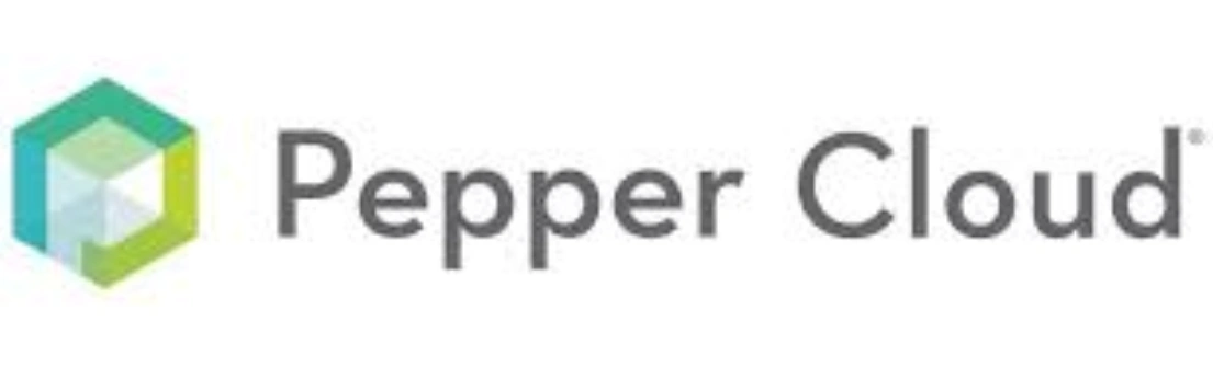 Logo Pepper Cloud menampilkan elemen geometris berwarna hijau dan biru, menggambarkan identitas visual merek dalam konteks teknologi dan inovasi.